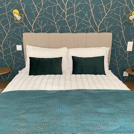 L'elegant Lägenhet Nancy