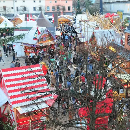 Apartament L'elegant Nancy